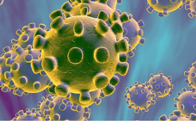 Protocolo prevención Coronavirus